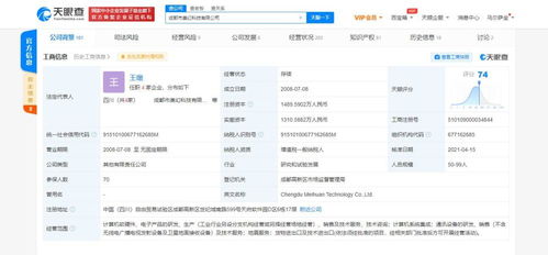 計(jì)算機(jī)軟硬件研發(fā)及銷售 科技創(chuàng)新的雙輪驅(qū)動